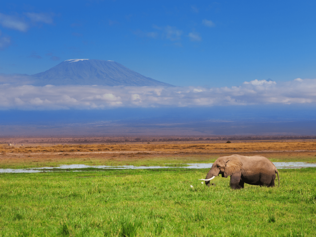 The programs featured image